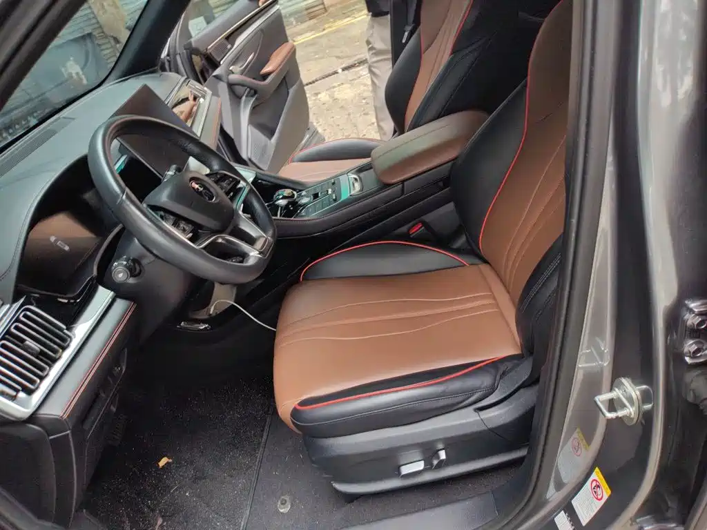 BYD PLUS — миниатюра 11