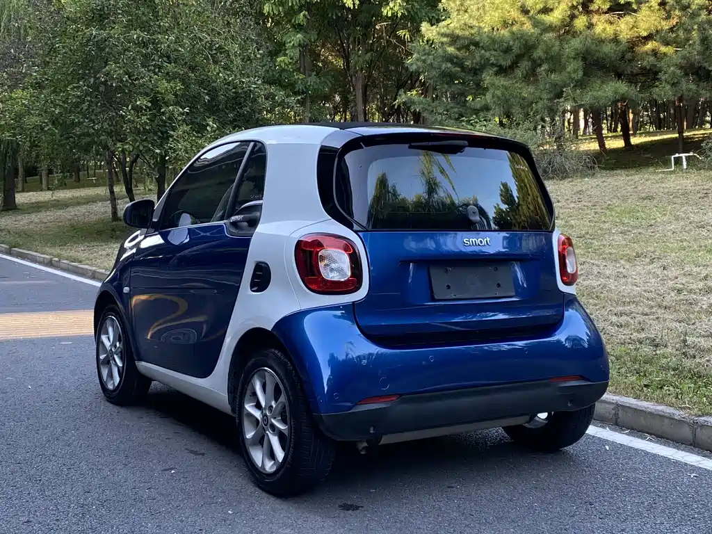 smart Smart Fortwo — миниатюра 14