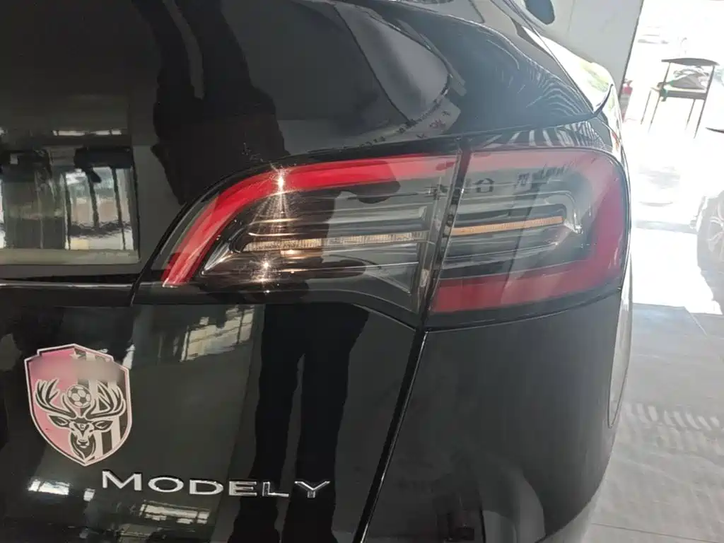 Tesla Model Y — миниатюра 8