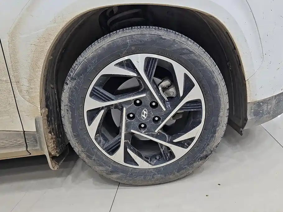 Hyundai Custo — миниатюра 6