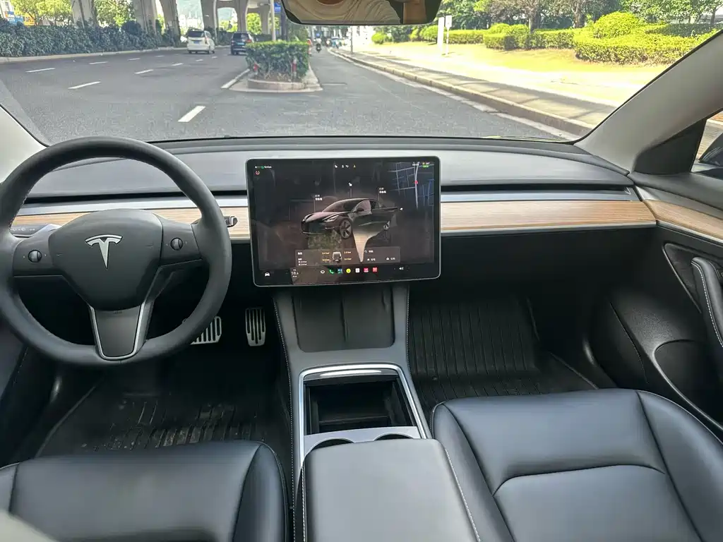 Tesla Model 3 — миниатюра 6