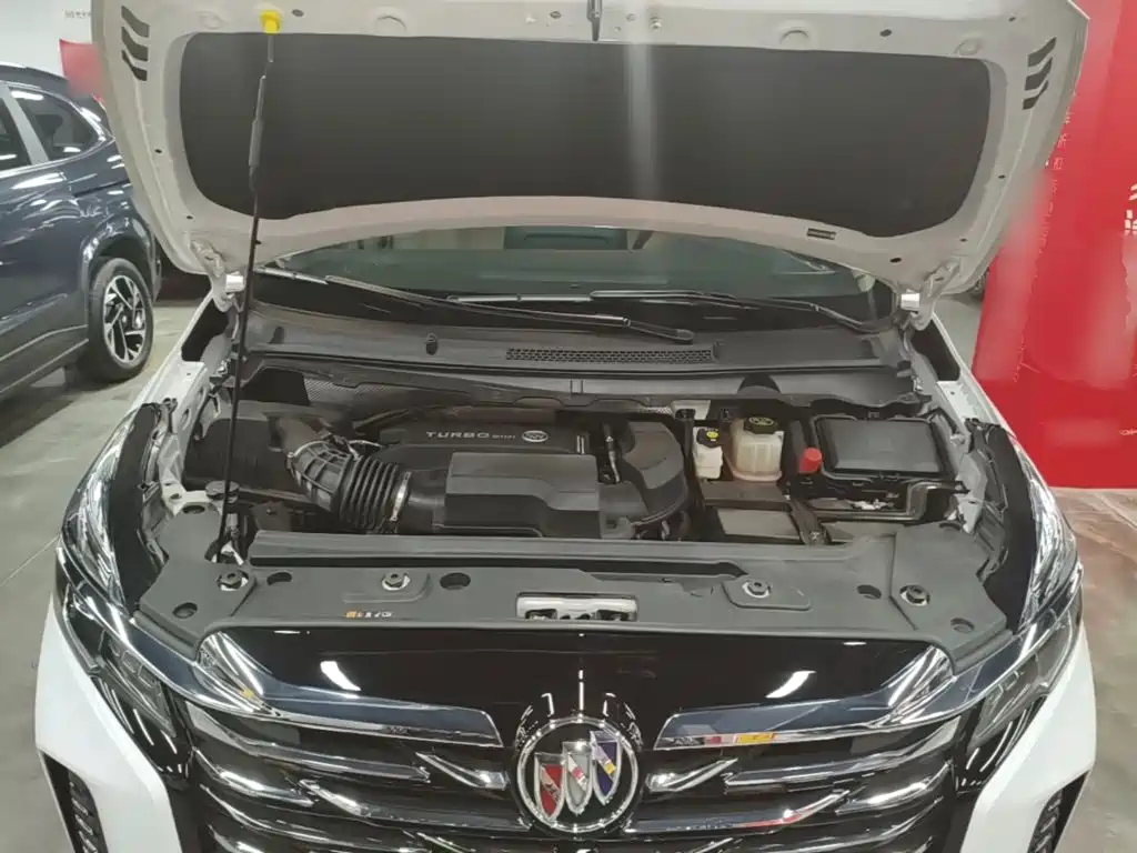 Buick GL8 — миниатюра 20