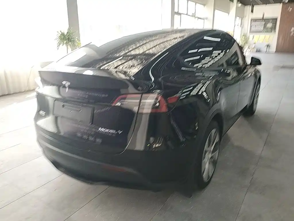 Tesla Model Y — миниатюра 7