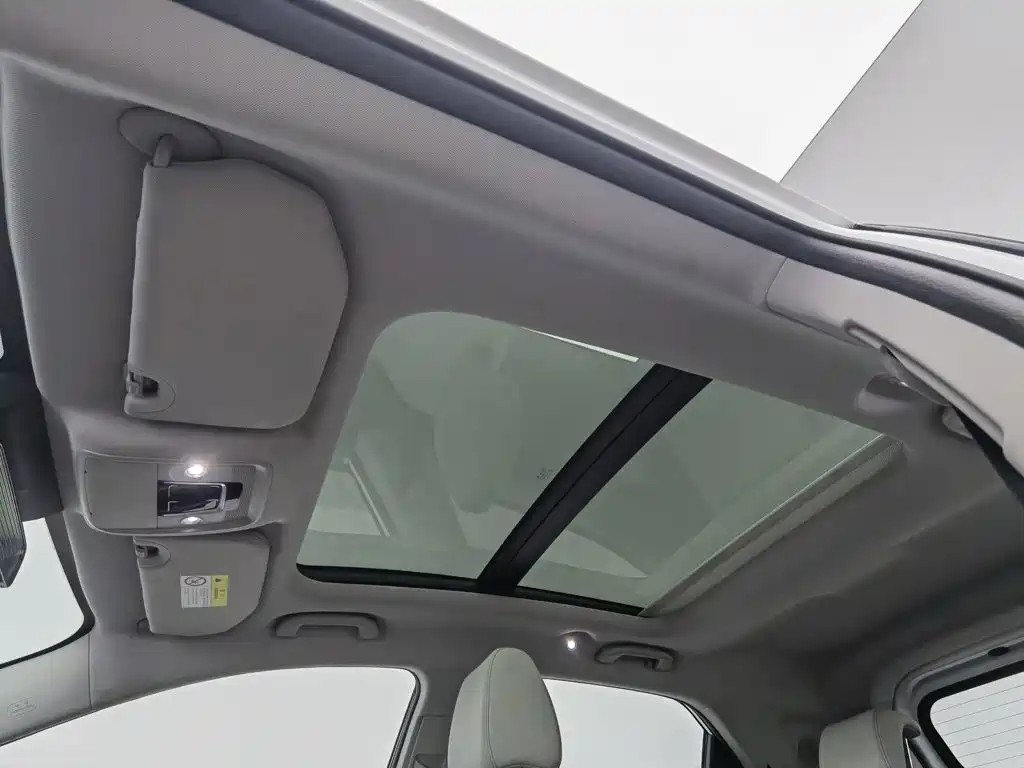 BYD Yuan Pro — миниатюра 14