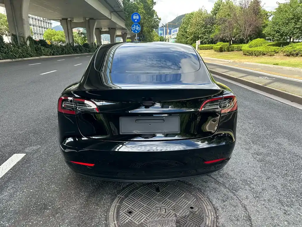 Tesla Model 3 — миниатюра 5