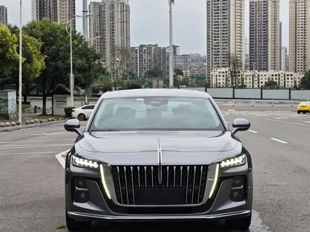 Hongqi H5 2023 2.0T AT