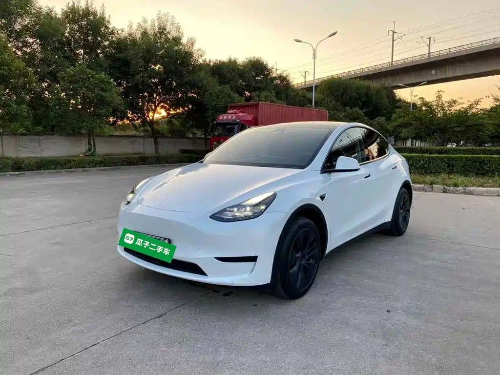 Tesla Model Y — миниатюра 2
