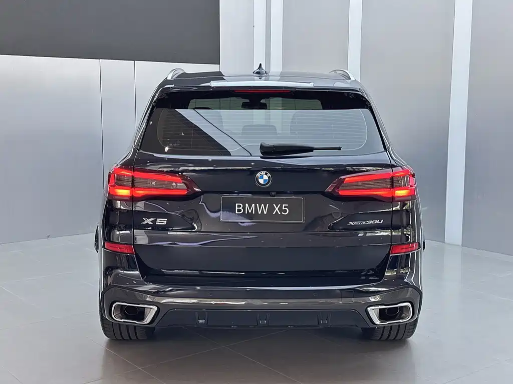 BMW X5 — миниатюра 17