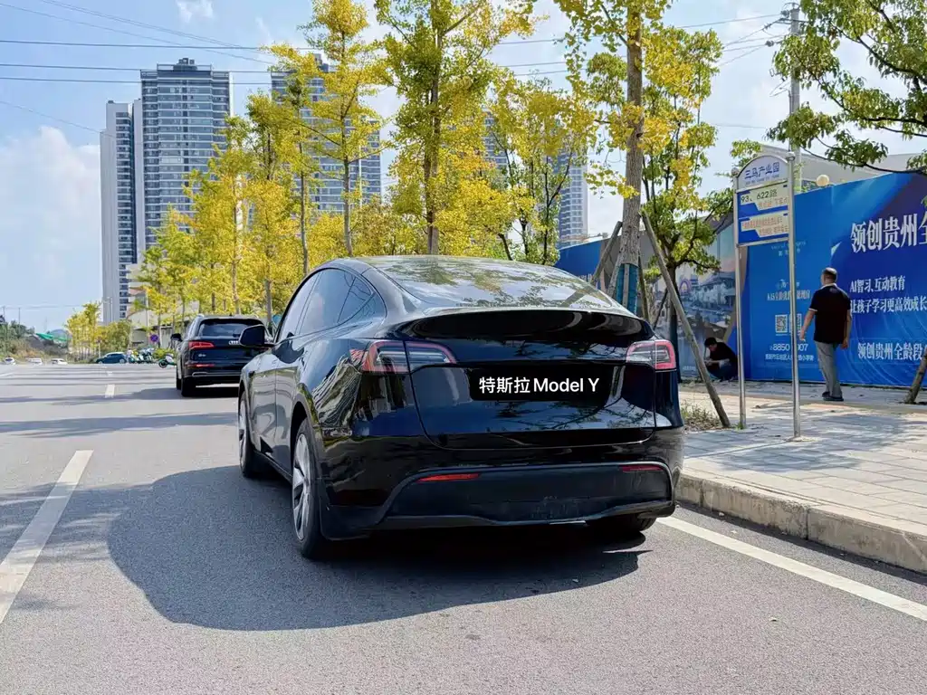 Tesla Model Y — миниатюра 7