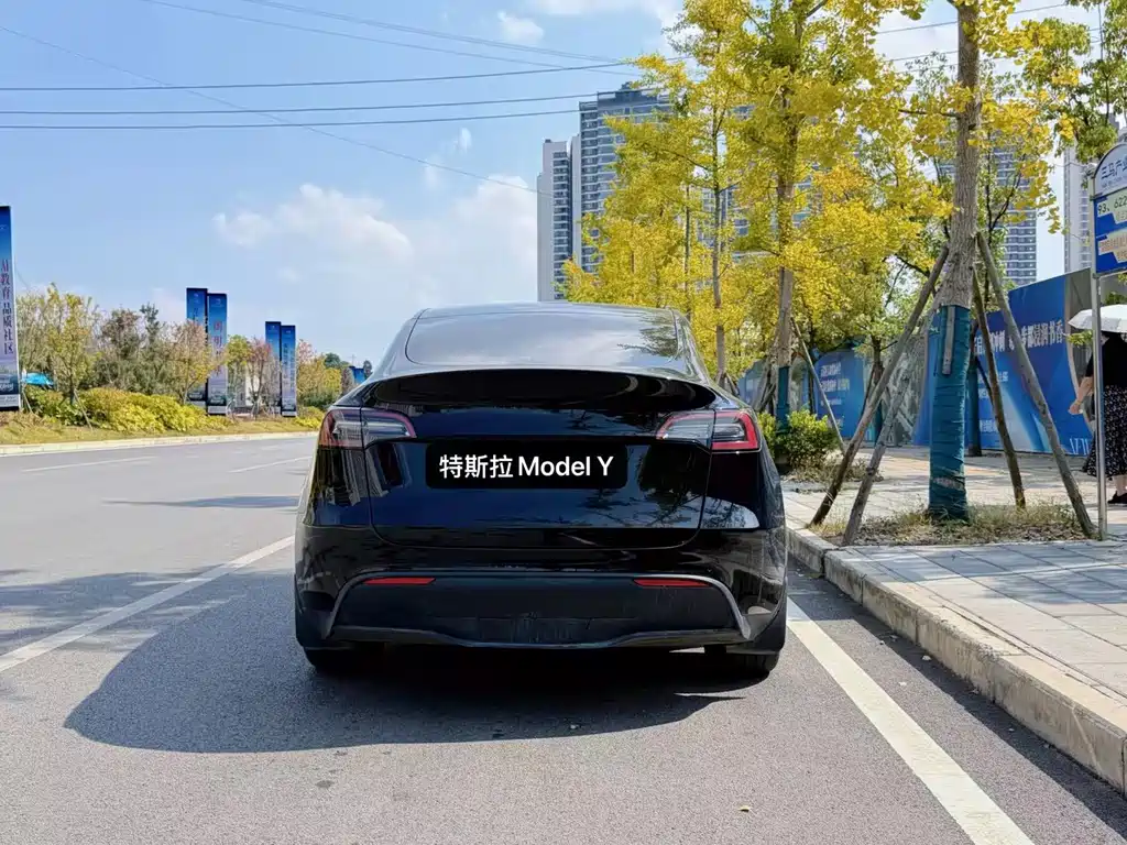 Tesla Model Y — миниатюра 8