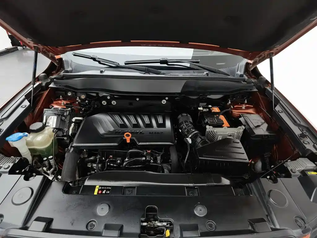 Haval Big Dog — миниатюра 6