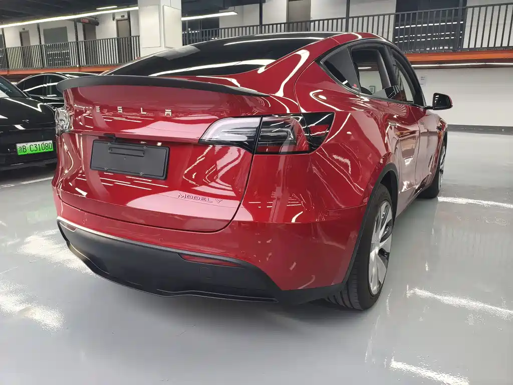 Tesla Model Y — миниатюра 8