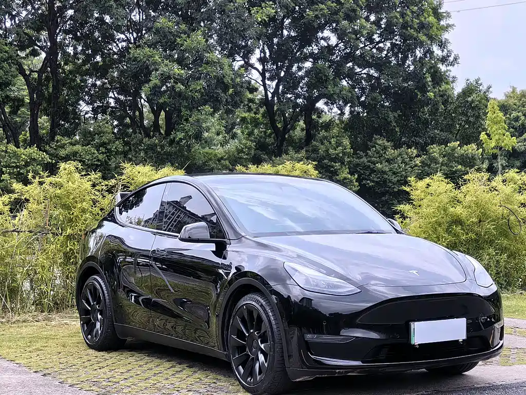 Tesla Model Y — миниатюра 2