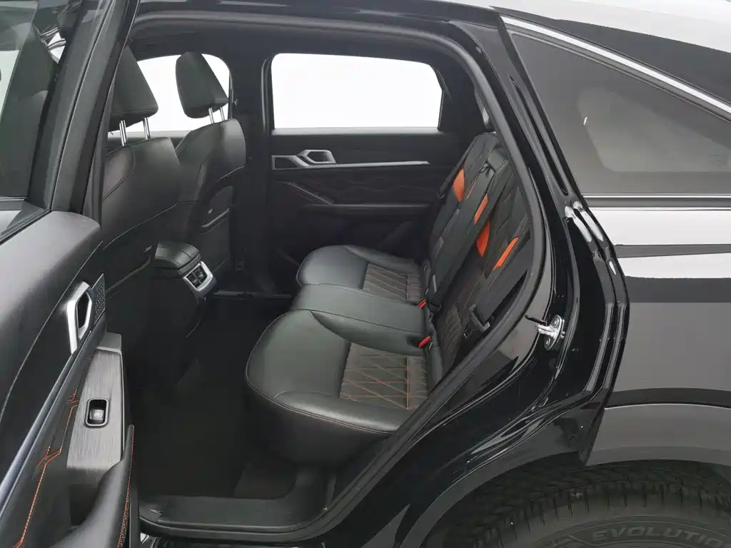 Haval Shenshou — миниатюра 15
