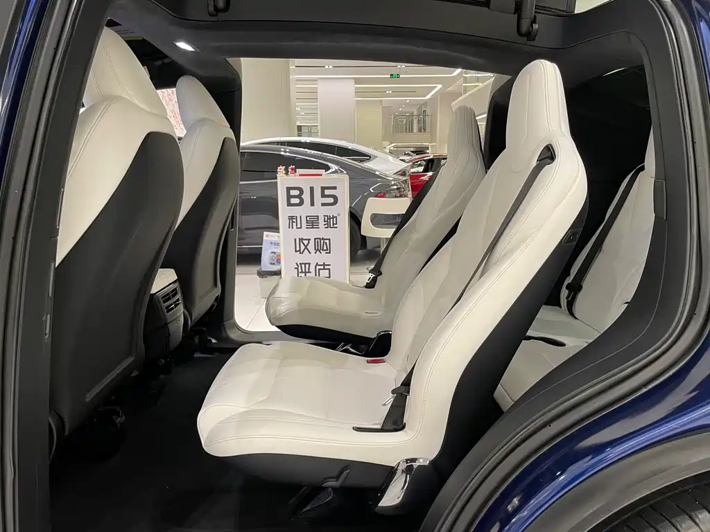 Tesla Model X — миниатюра 6