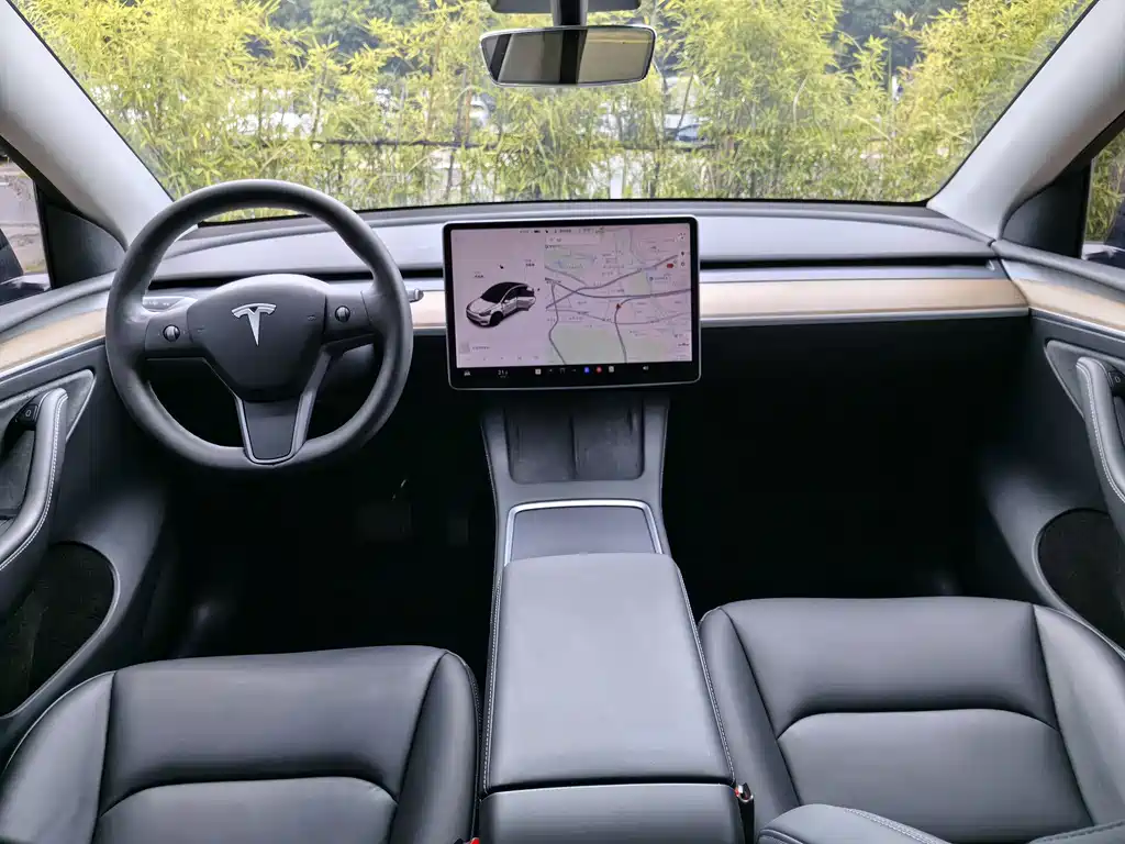 Tesla Model Y — миниатюра 16