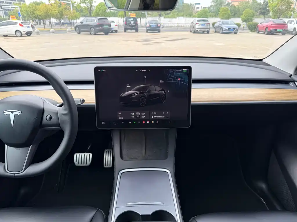 Tesla Model Y — миниатюра 9