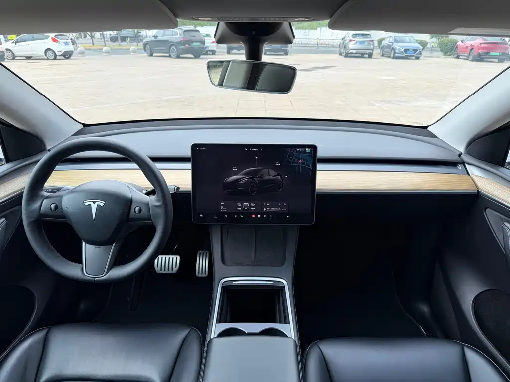 Tesla Model Y — миниатюра 11