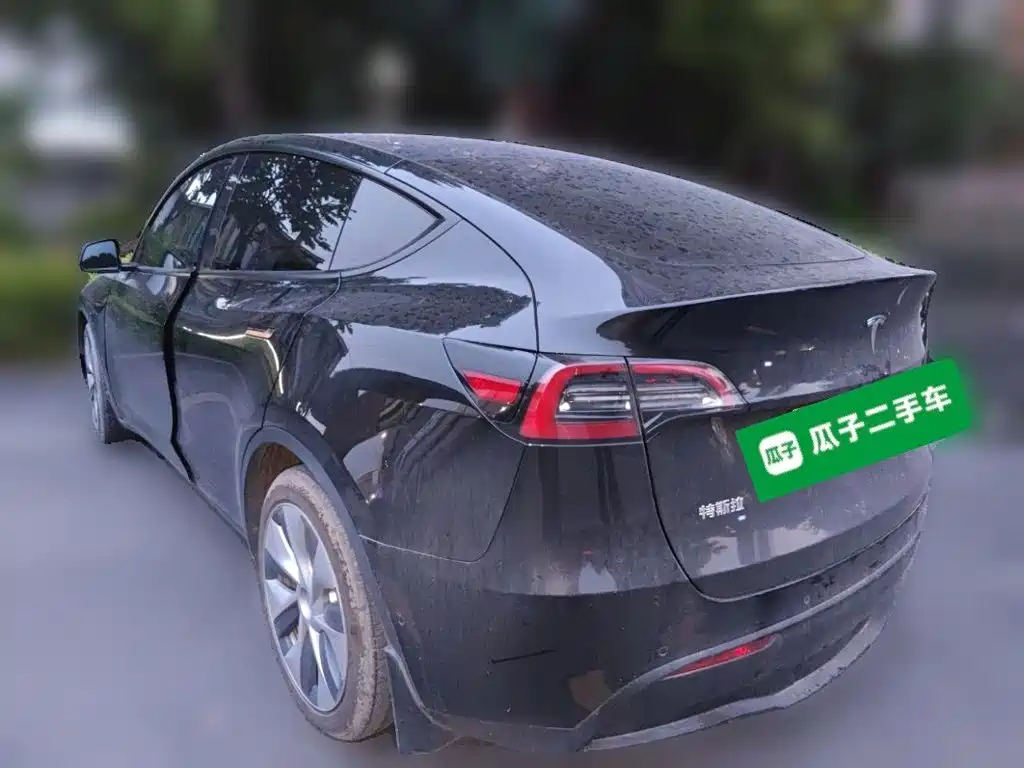 Tesla Model Y — миниатюра 23