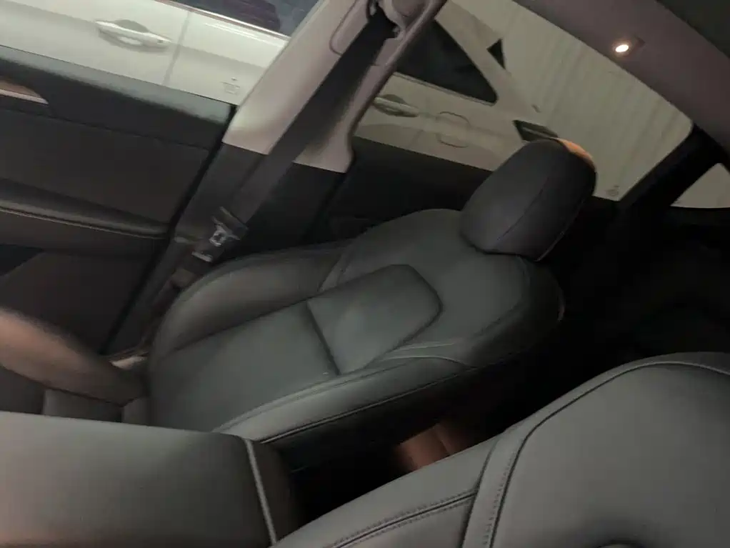 Tesla Model Y — миниатюра 13