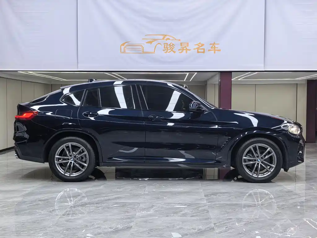 BMW X4 2019 xDrive25i M Sport