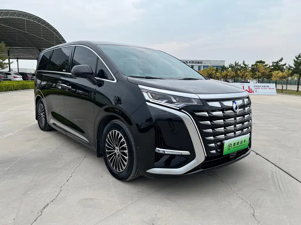 Denza Denza D9 — миниатюра 3