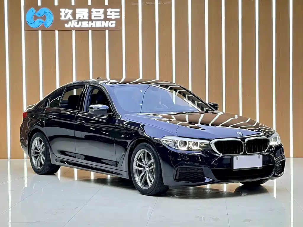 BMW 5 Series (Import) — миниатюра 3