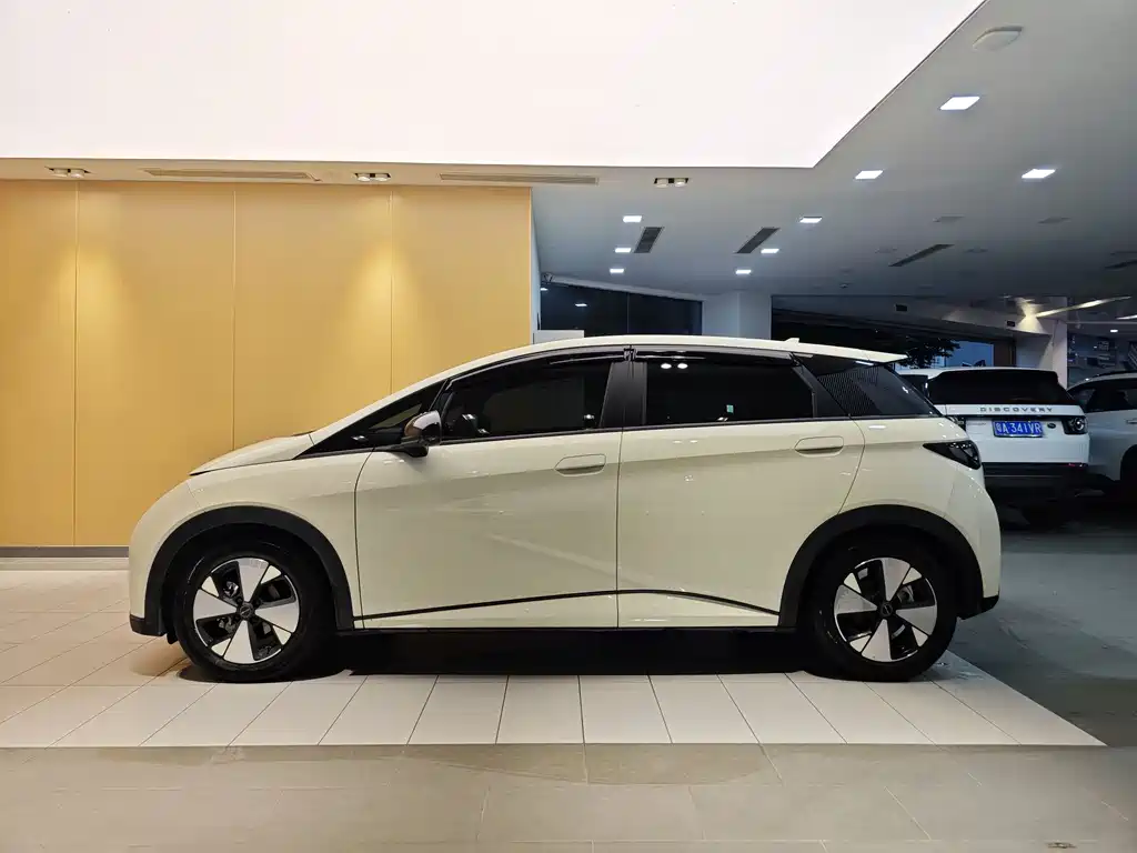 BYD Dolphin 2023 420km Fashion