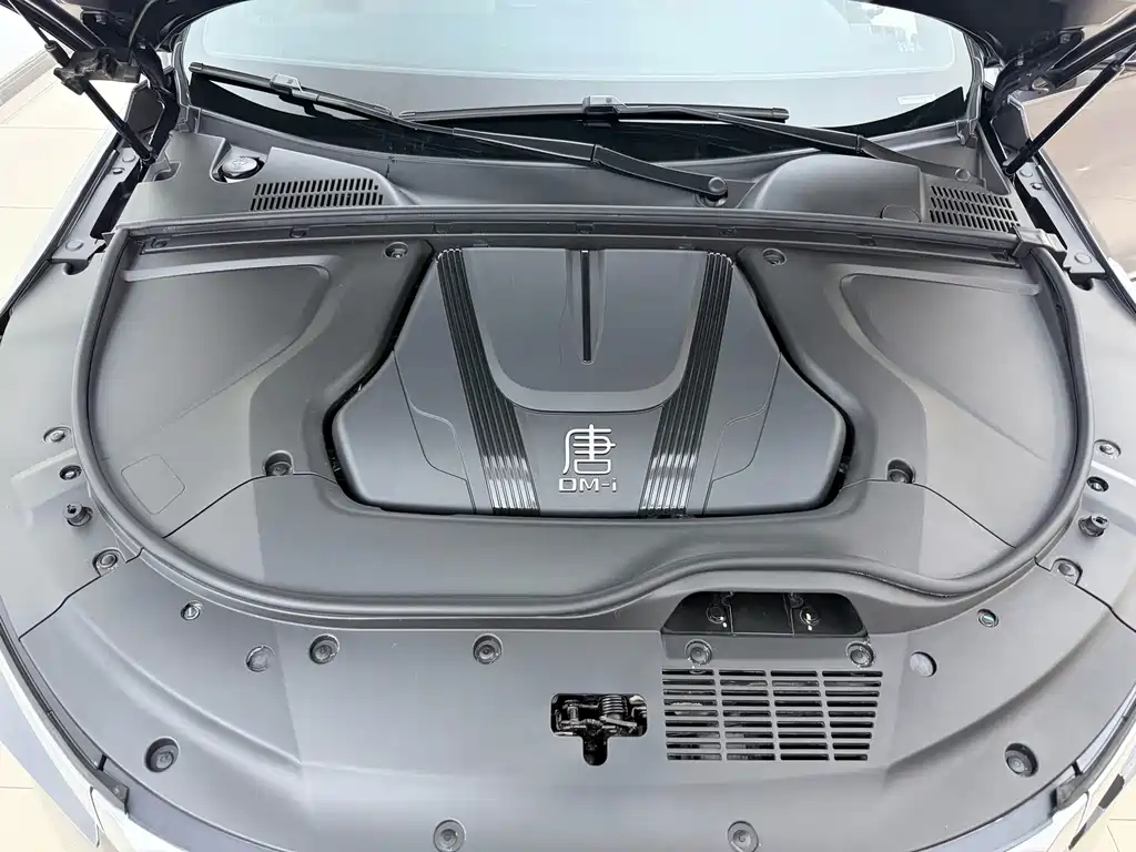 BYD Tang New Energy — миниатюра 4