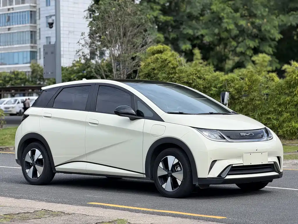 BYD Dolphin — миниатюра 3