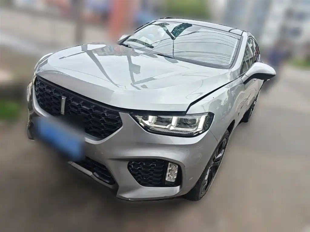 Купить Wey Wey VV5