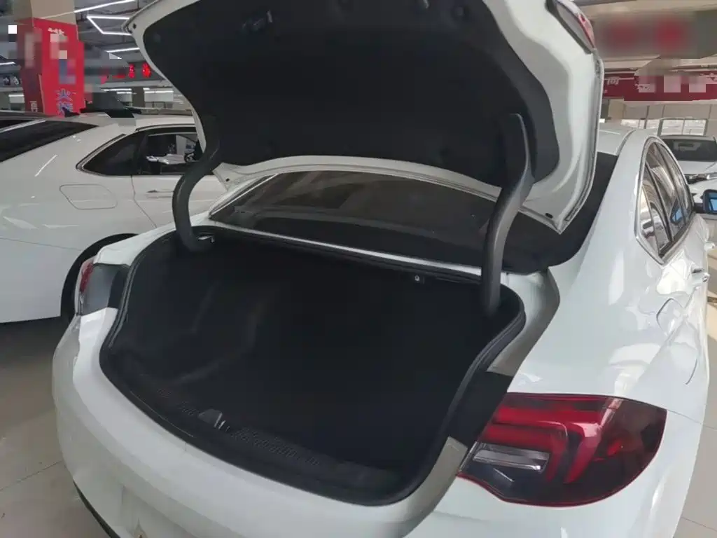 Buick Regal — миниатюра 19