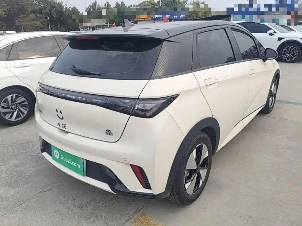 BYD Dolphin — миниатюра 7