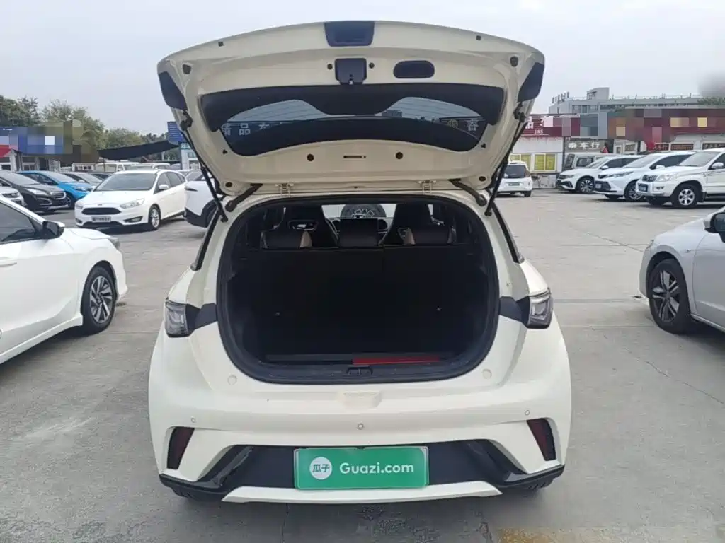 BYD Dolphin — миниатюра 19