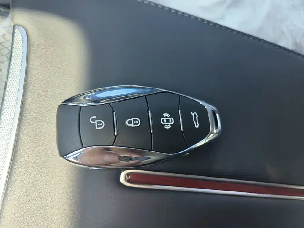 Hongqi Hongqi HS3 PHEV — миниатюра 9