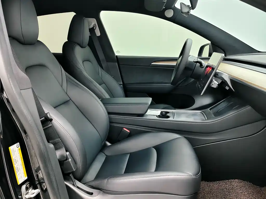 Tesla Model Y — миниатюра 7