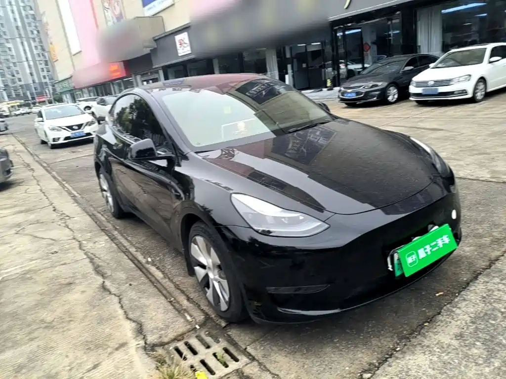Tesla Model Y — миниатюра 4