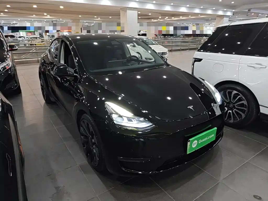 Tesla Model Y — миниатюра 4