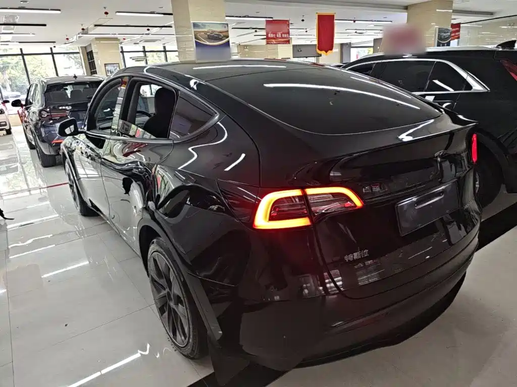 Tesla Model Y — миниатюра 5