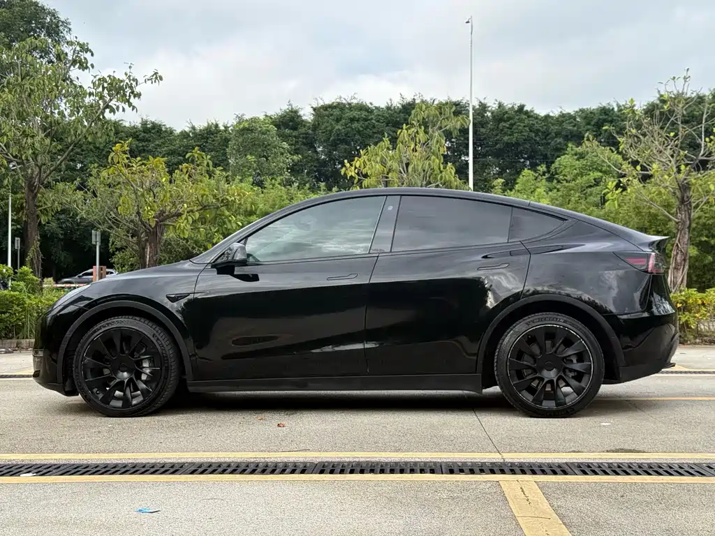 Tesla Model Y — миниатюра 17