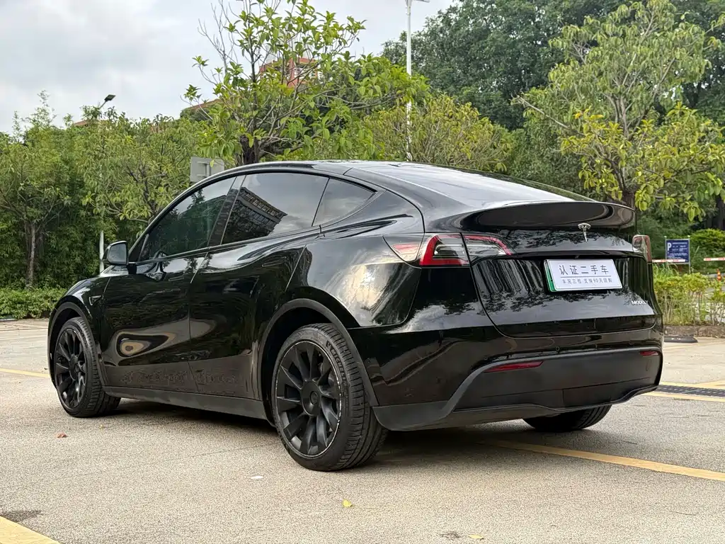 Tesla Model Y — миниатюра 9