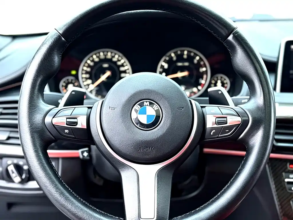 BMW X6 — миниатюра 20