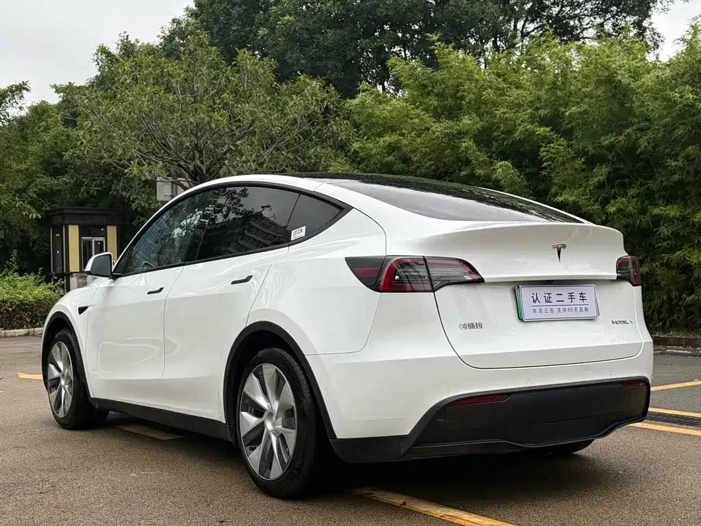 Tesla Model Y — миниатюра 13