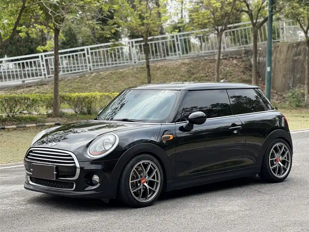 Mini Mini 2015