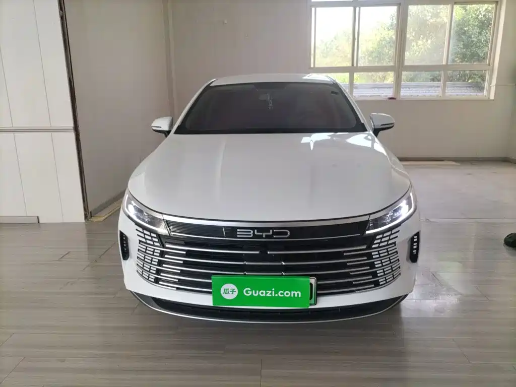 BYD Destroyer 05 2024 DM-i 55KM Luxury