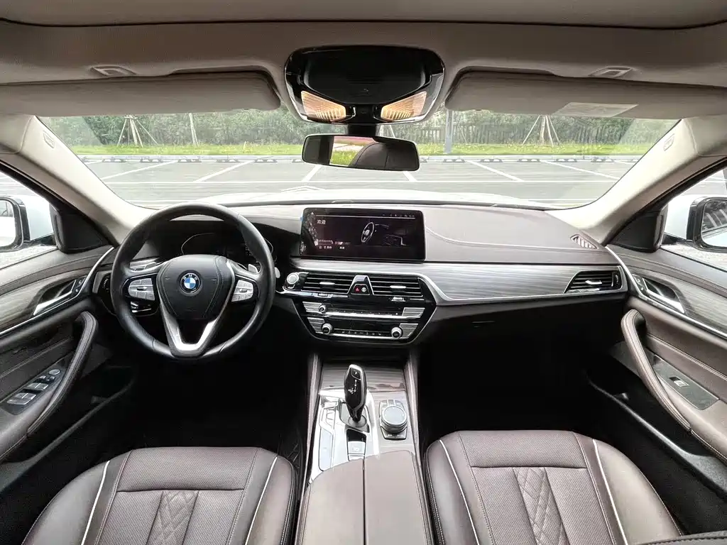 BMW 5 Series 5 2021 530Li Lead Luxury