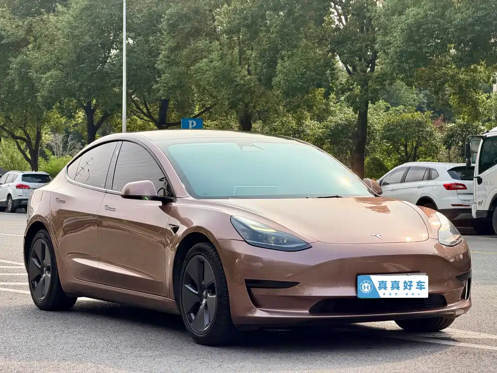 Tesla Model 3 — миниатюра 3