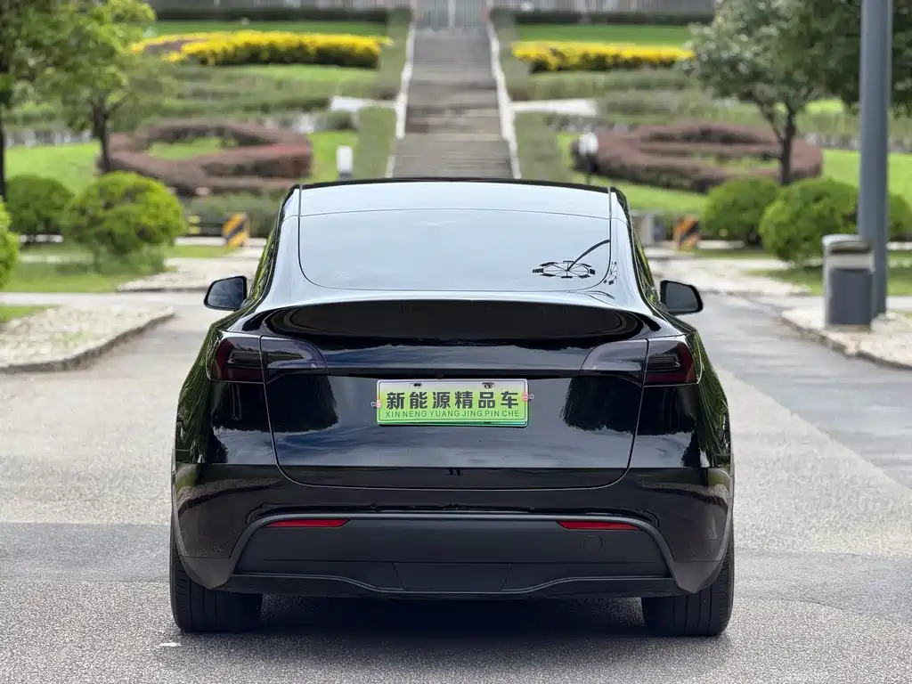 Tesla Model Y — миниатюра 6
