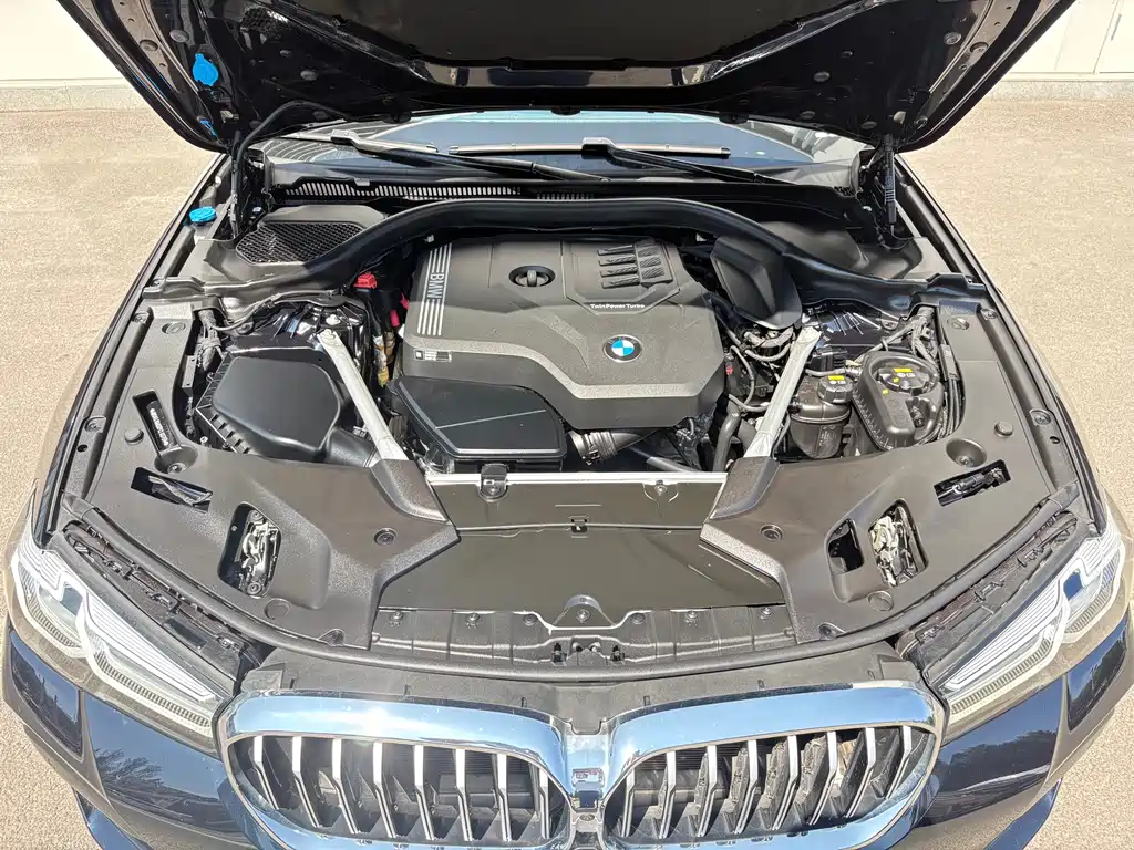 BMW 5 Series (Import) — миниатюра 10
