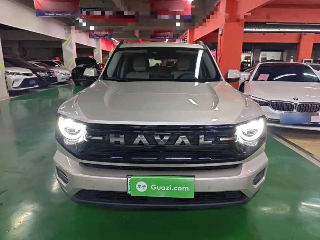 Haval Big Dog PLUS New Energy — миниатюра 3